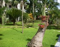 Garden of the Apart-Hotel BELLA VISTA - Boca Chica - Dominican Republic